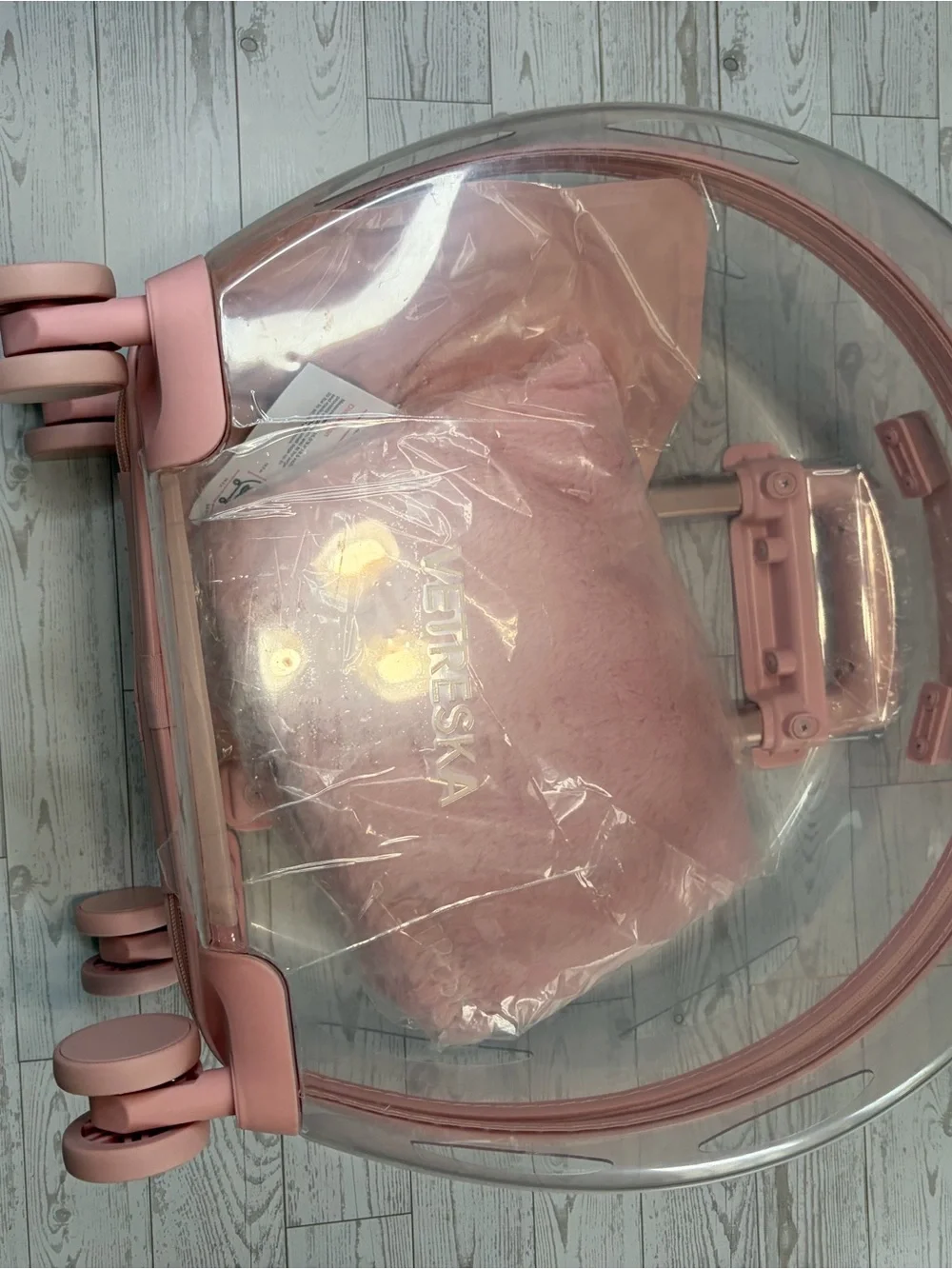 NEW! Clear Bubble Pet Carrier Luggage in Light Pink
